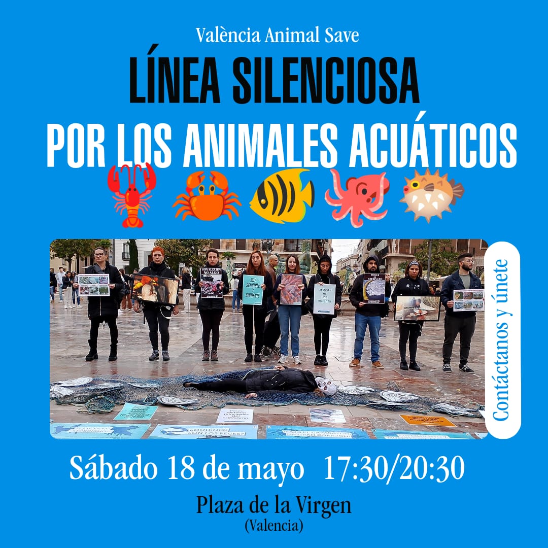 Línea silenciosa por los animales acuáticos este sábado en Valencia