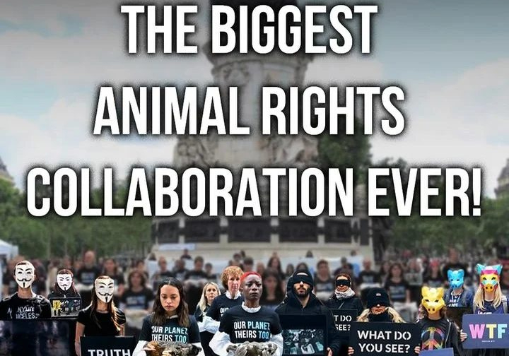 Madrid celebrará el Día Nacional de los Derechos de los Animales este domingo