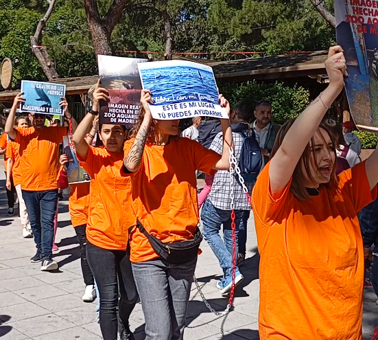 Activistas piden el cierre del Zoo Aquarium de Madrid en una llamativa performance