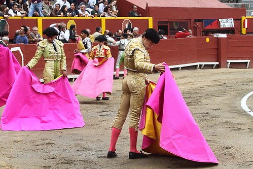 La Comunidad Valenciana subvenciona con 300000 euros la creación de un circuito de novilladas