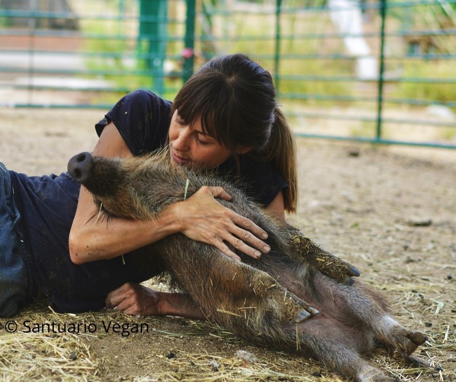 «No hay mejores concienciadores sobre sus vidas y sus historias que los propios animales»: Entrevista con Laura Luengo, fundadora de Santuario Vegan