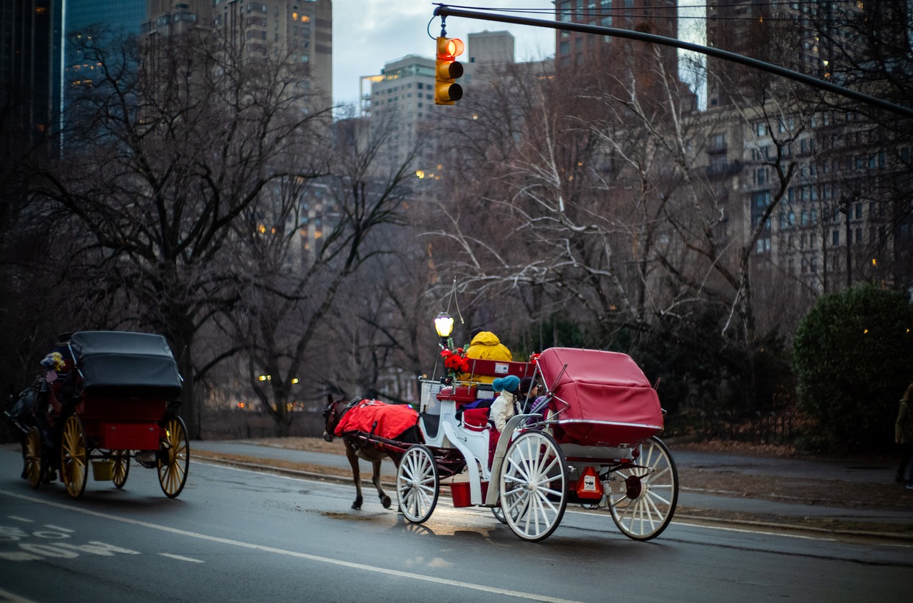 Carruajes de caballos en Nueva York