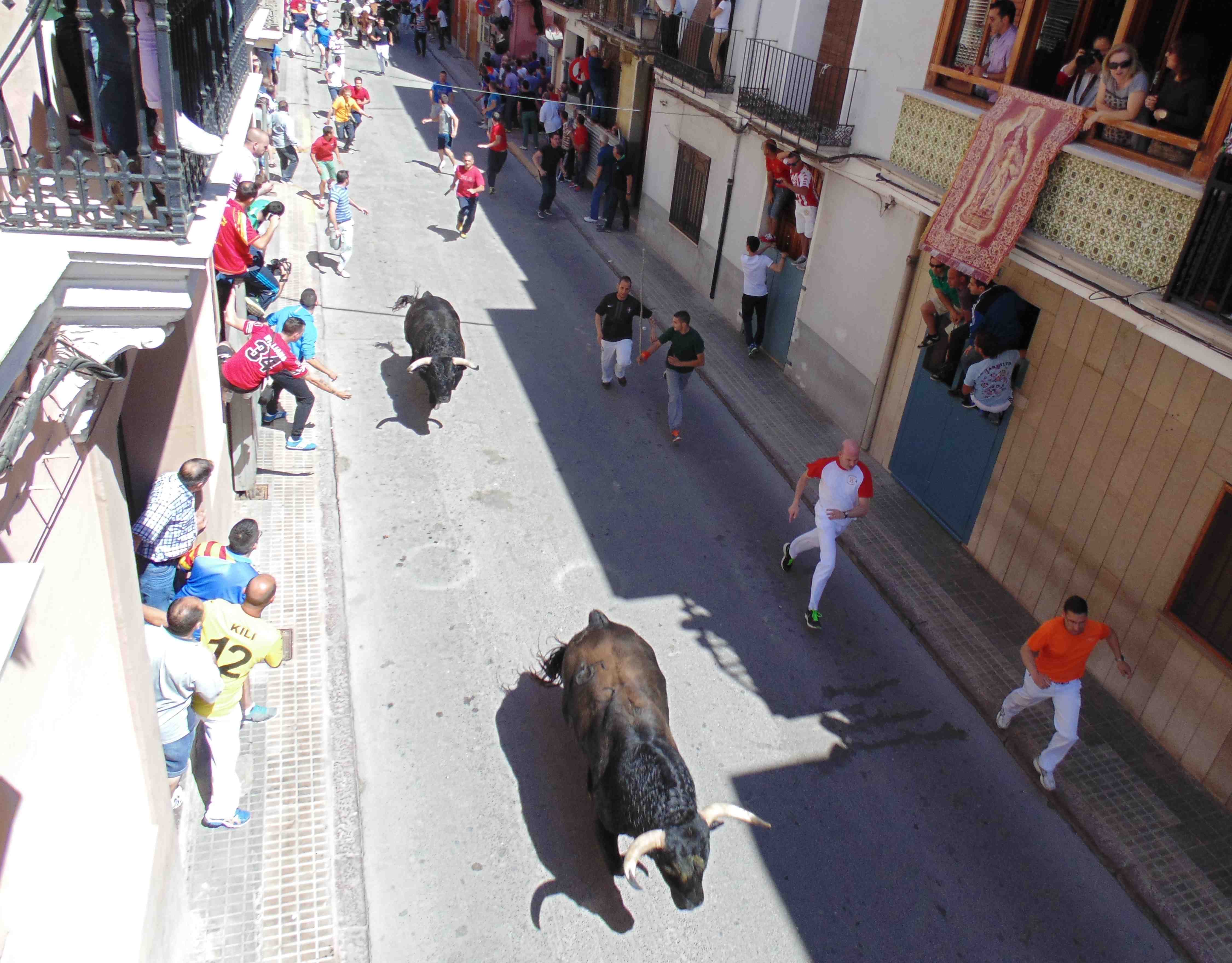No habrá toros en las fiestas de Alcalá de Henares este año