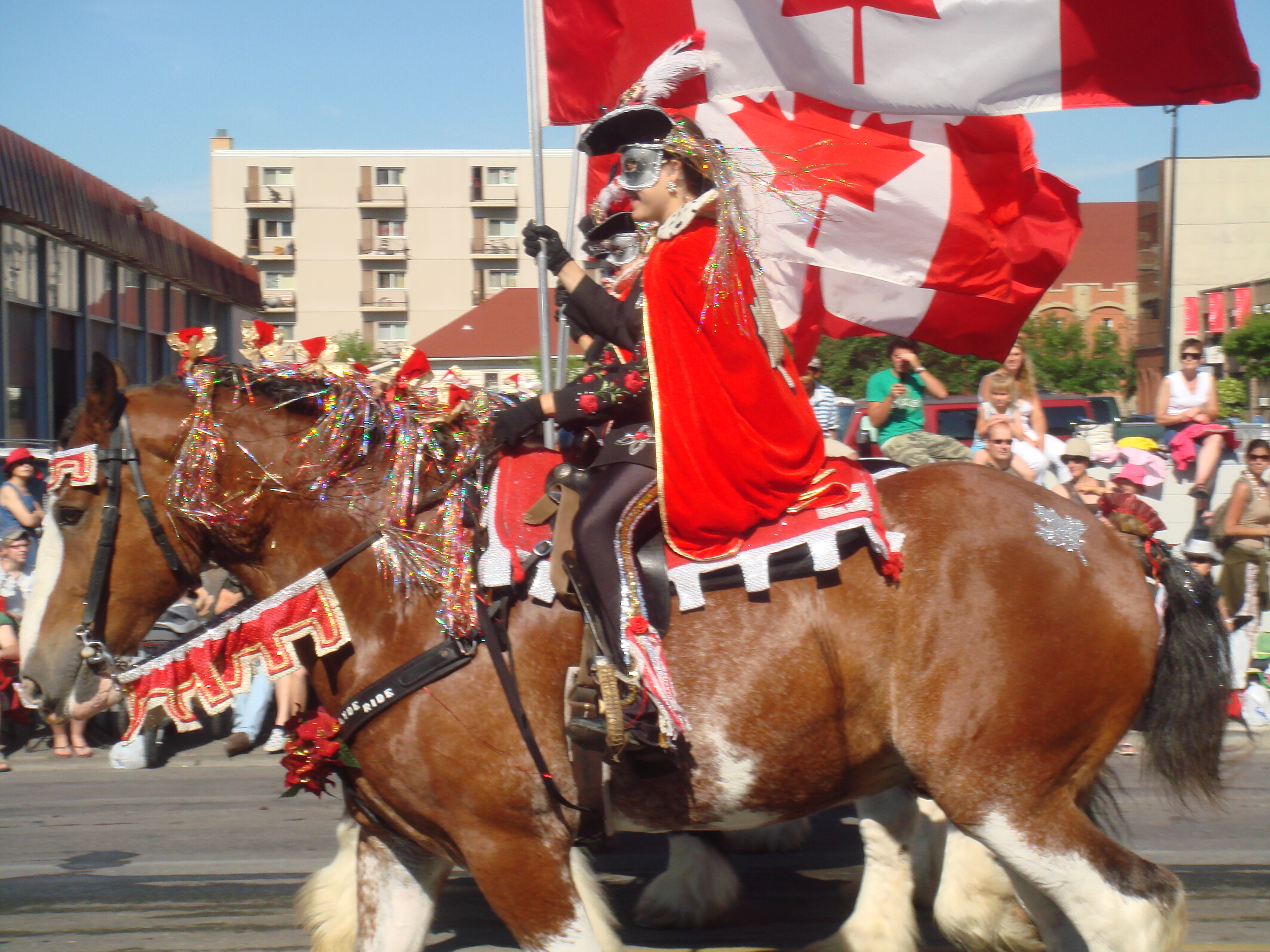 Cuatro animales han muerto en la Calgary Stampede, un evento que gira en torno al maltrato