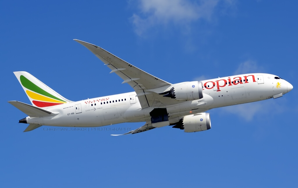 La mayor aerolínea de África, acusada de apoyar la experimentación animal