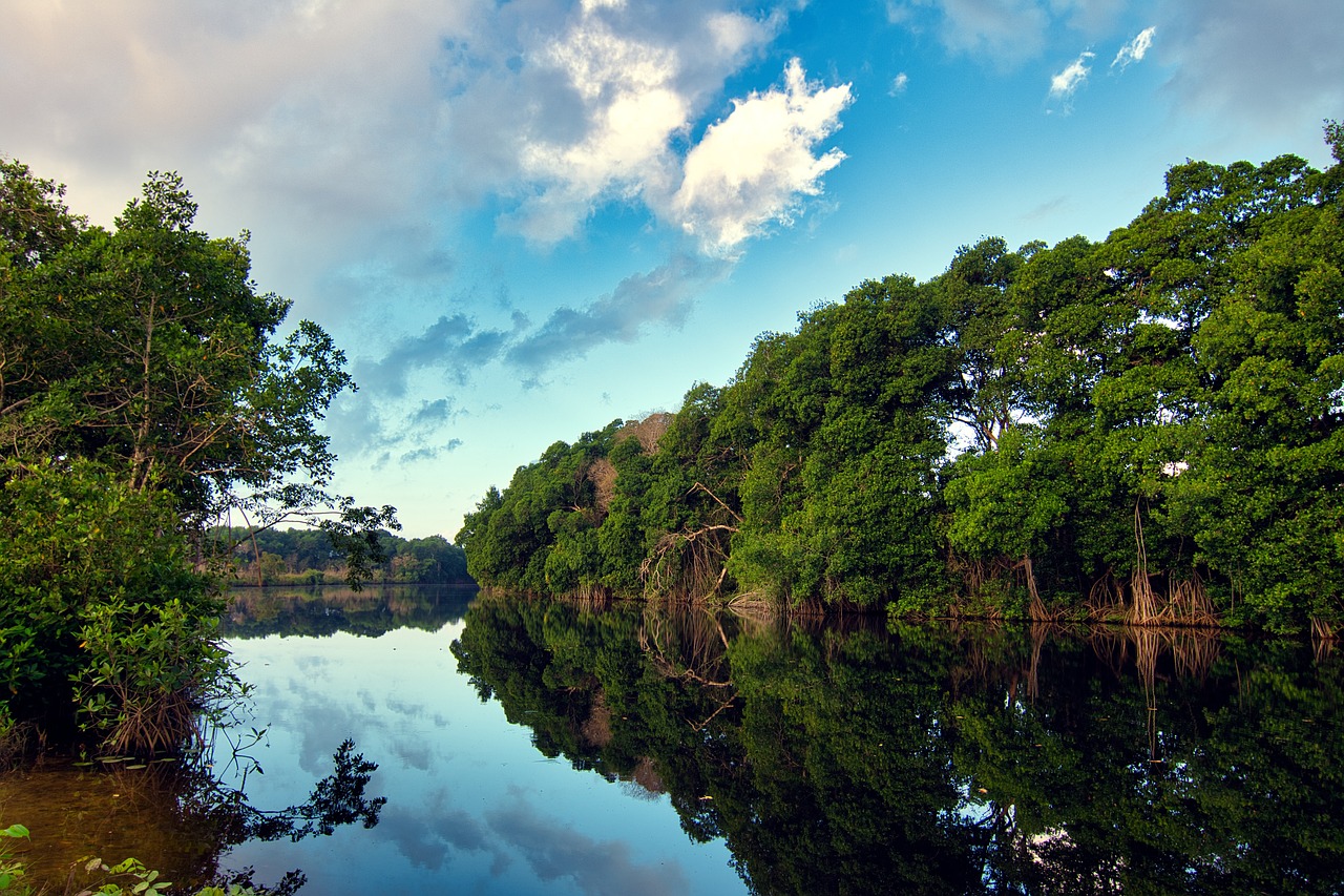 Protección de la naturaleza