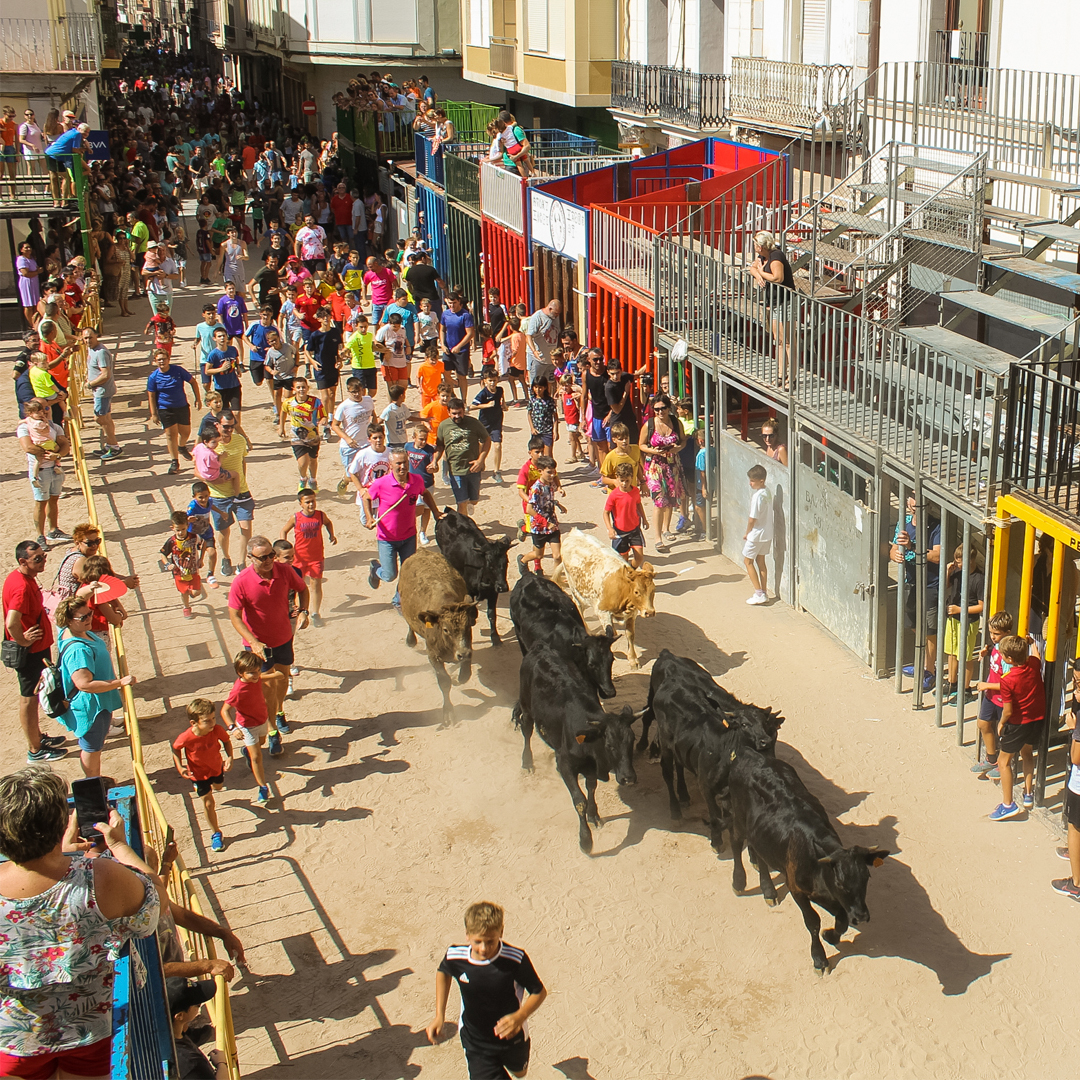 Operadores jurídicos piden la cancelación de un encierro infantil en Sagunto
