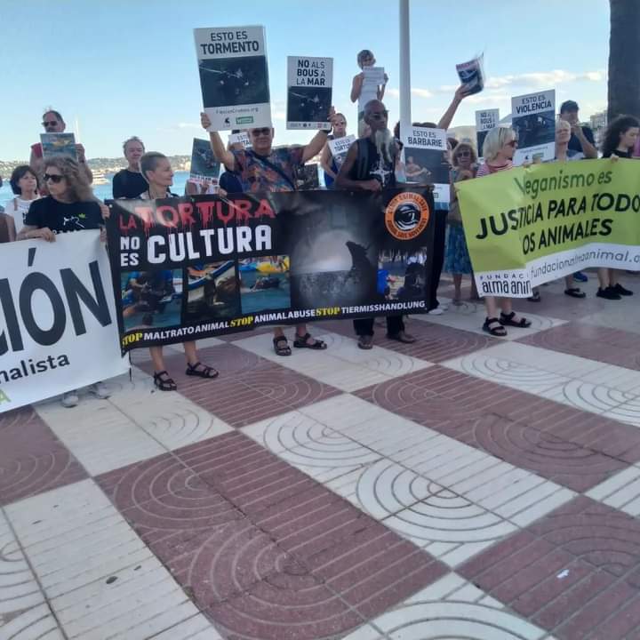 Manifestación contra los bous a la mar en Denia