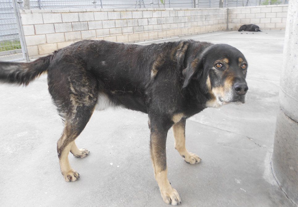 Felipe en Spap Madrid