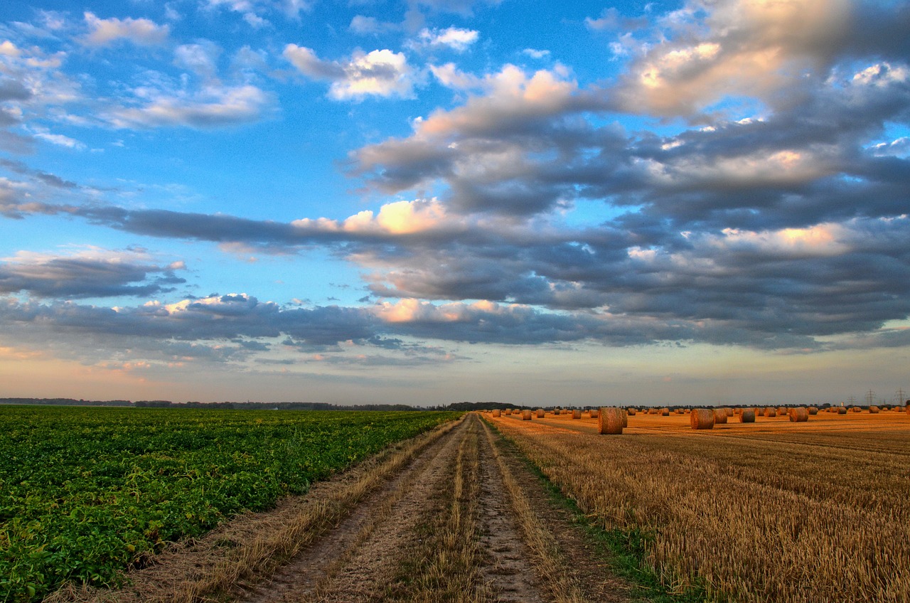 Agricultura y ganadería