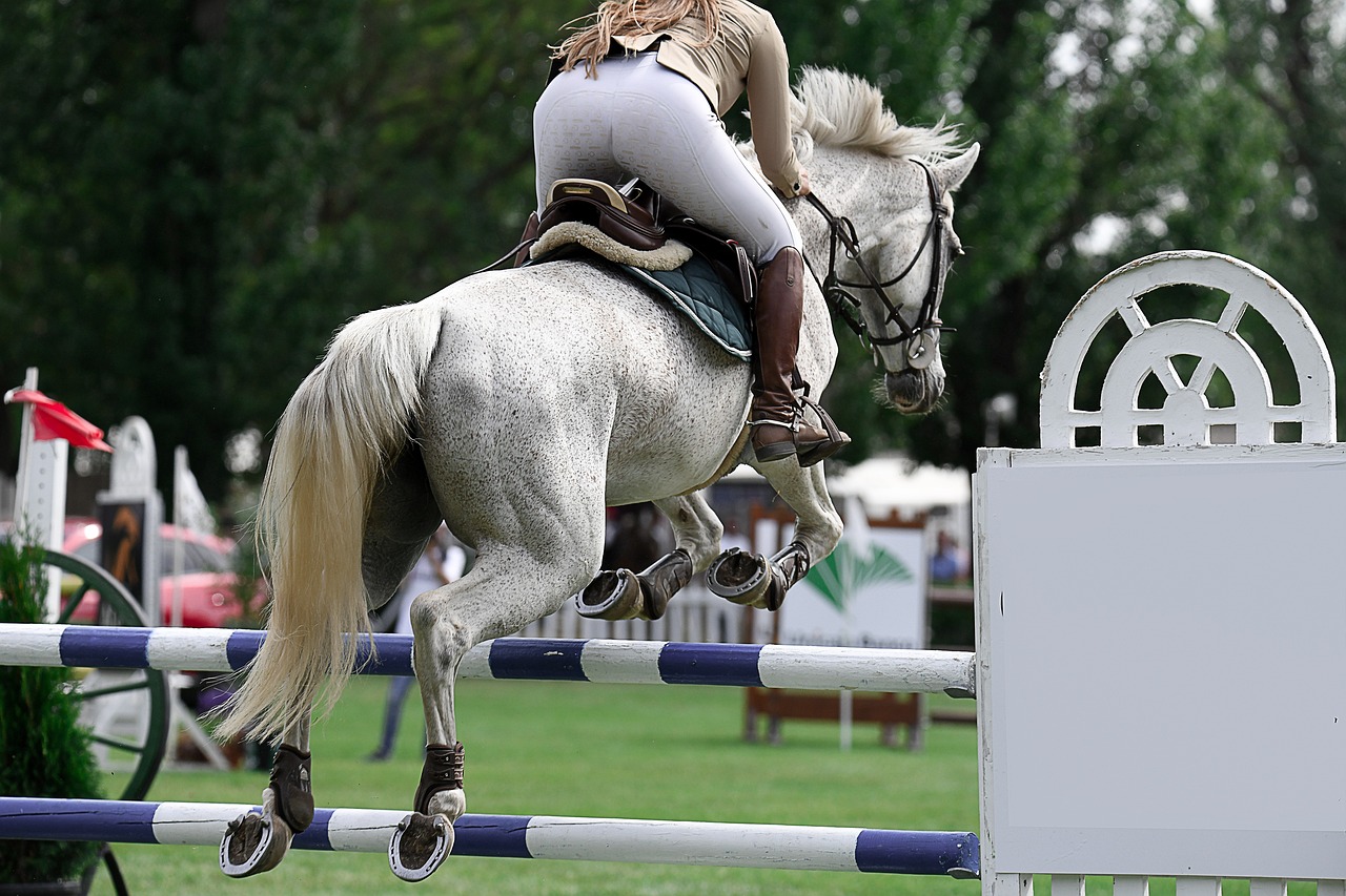 Hípica, deporte olímpico