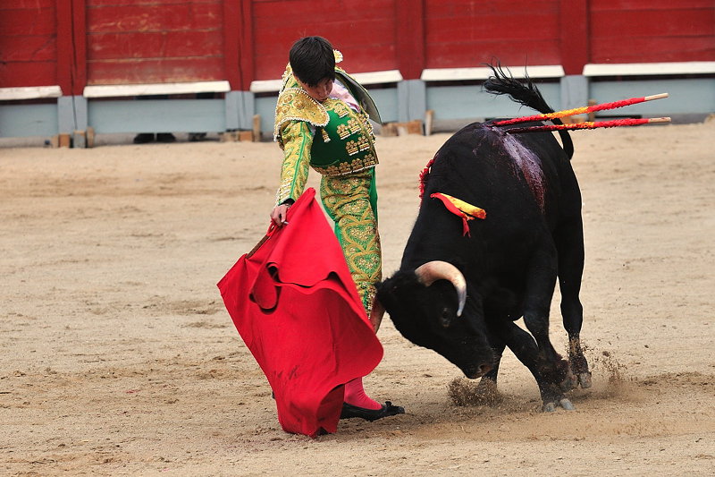 El sector taurino promociona la tauromaquia entre los menores con 1000 entradas gratuitas en Plasencia