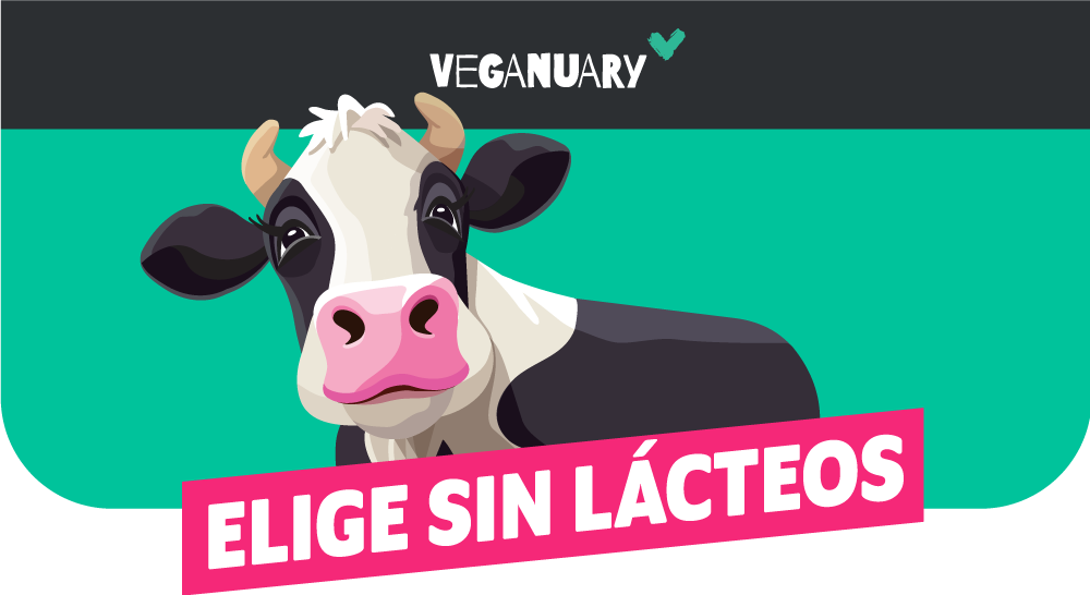 Elige sin lácteos