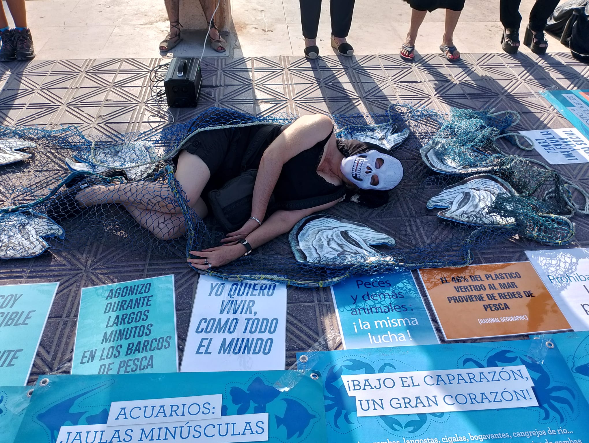 València Animal Save vuelve a recordar que los animales acuáticos también cuentan