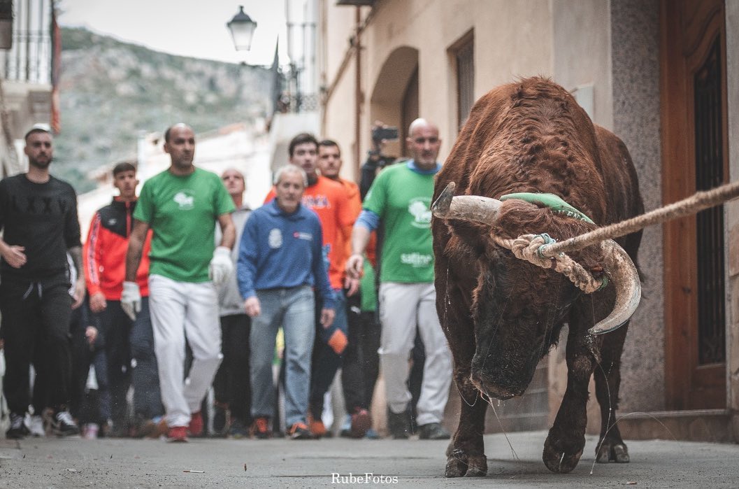 Toro de la cuerda en Chiva
