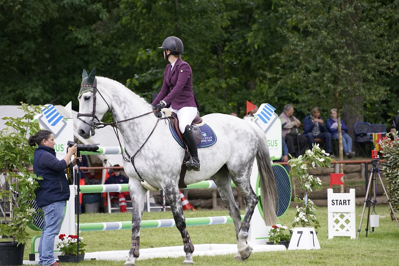Dos participantes en los Juegos Olímpicos y una jinete descalificada, denunciados por maltrato animal en las pruebas de hípica