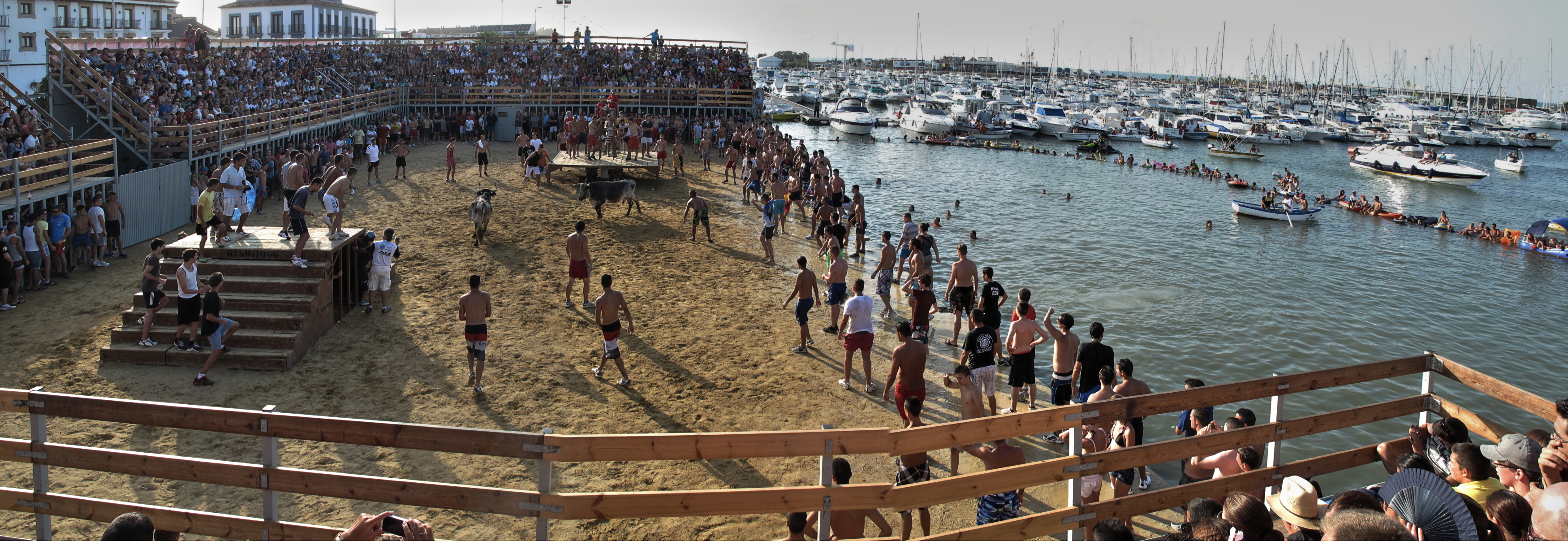 El movimiento antitaurino responde a la propuesta del PP de Dénia para blindar los festejos taurinos