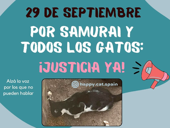 Una concentración ante el Ayuntamiento de Aldeire pedirá justicia para Samurai, el gato cuyo cuerpo sin vida apareció colgado de la ventana de su alimentadora