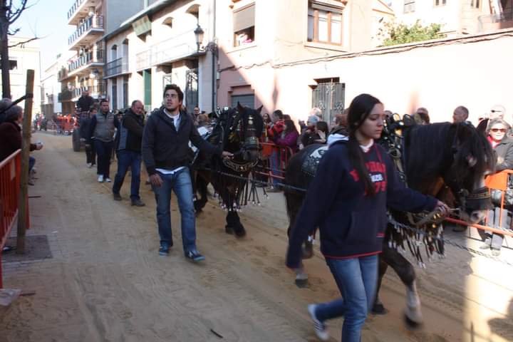 Caballos en Burjassot