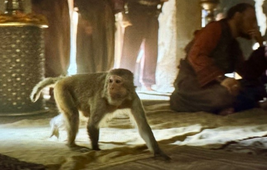 «La Casa del Dragón»: la serie capaz de recrear dragones que explota a un primate real en su última entrega