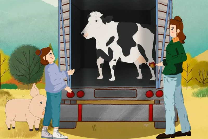 «Sanctuary»: el nuevo corto de animación basado en dos rescates de animales reales