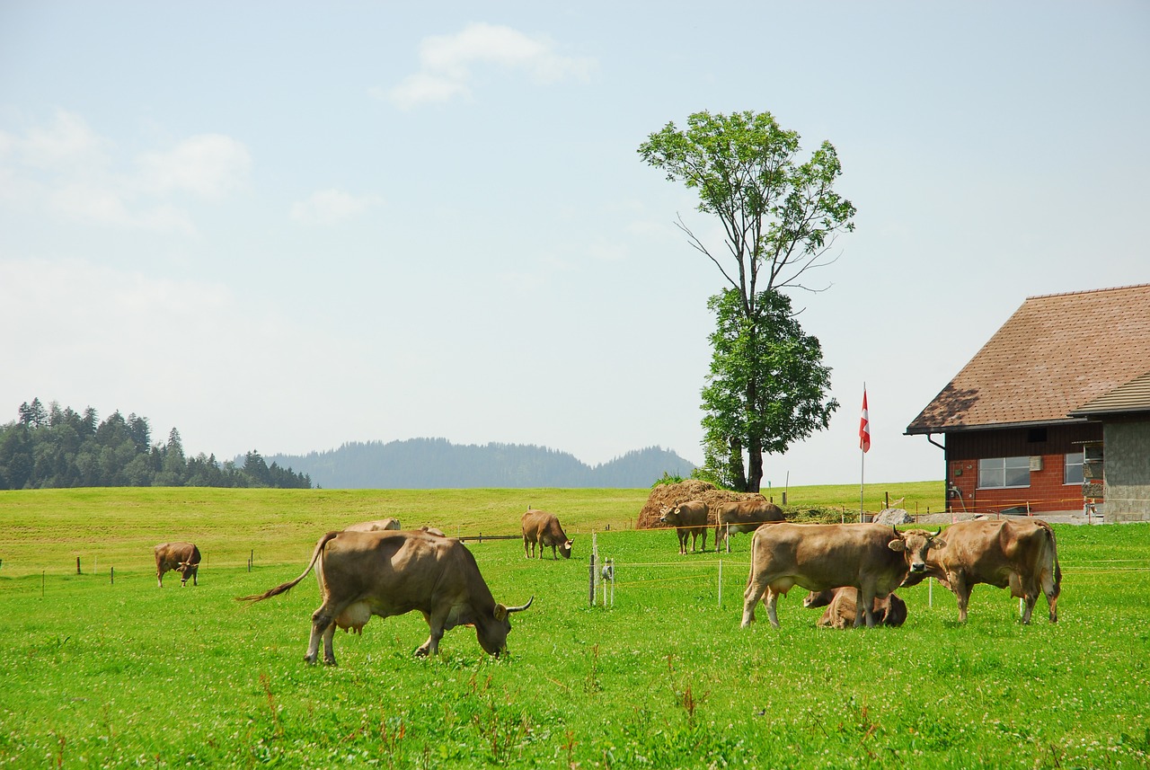 Una región suiza bloquea temporalmente la venta de carne por estar contaminada