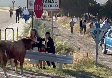 La irresponsabilidad de permitir el acceso de menores a festejos taurinos se escenifica en un pueblo de Valladolid: un niño, a punto de ser corneado