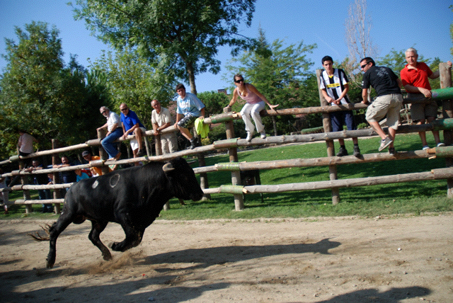 El PP busca reforzar la tauromaquia con una PNL que ya ha sido aprobada en la Comisión de Cultura del Congreso