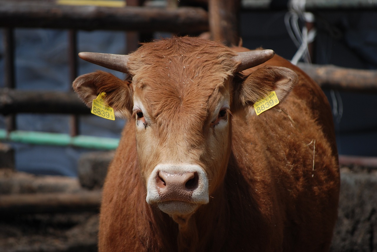 Metano de la ganadería
