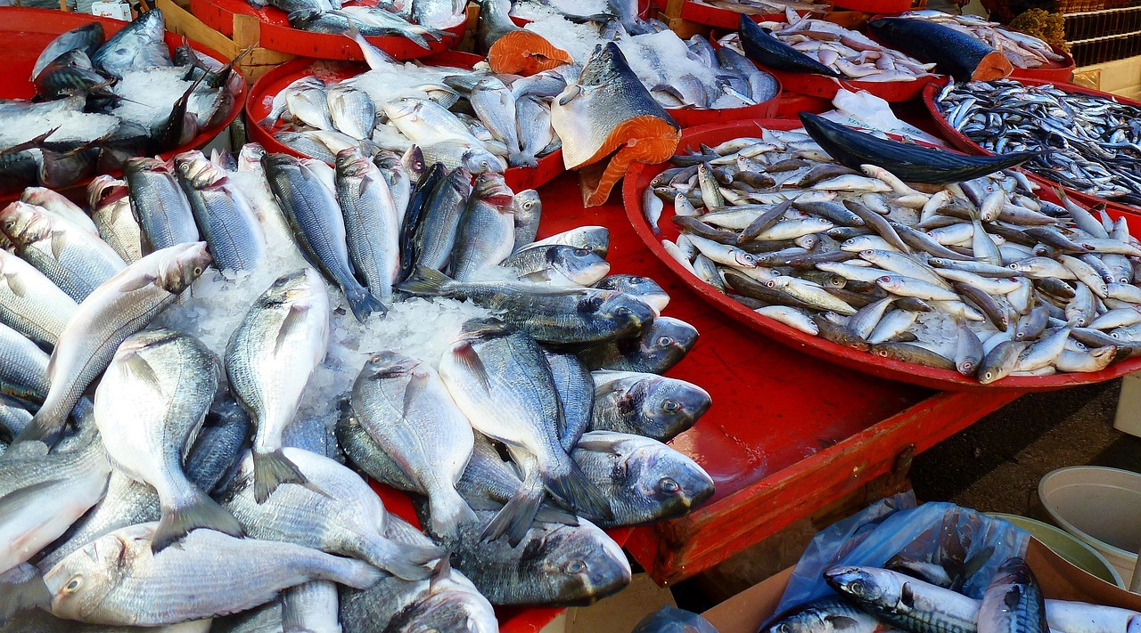 Peces en pescadería