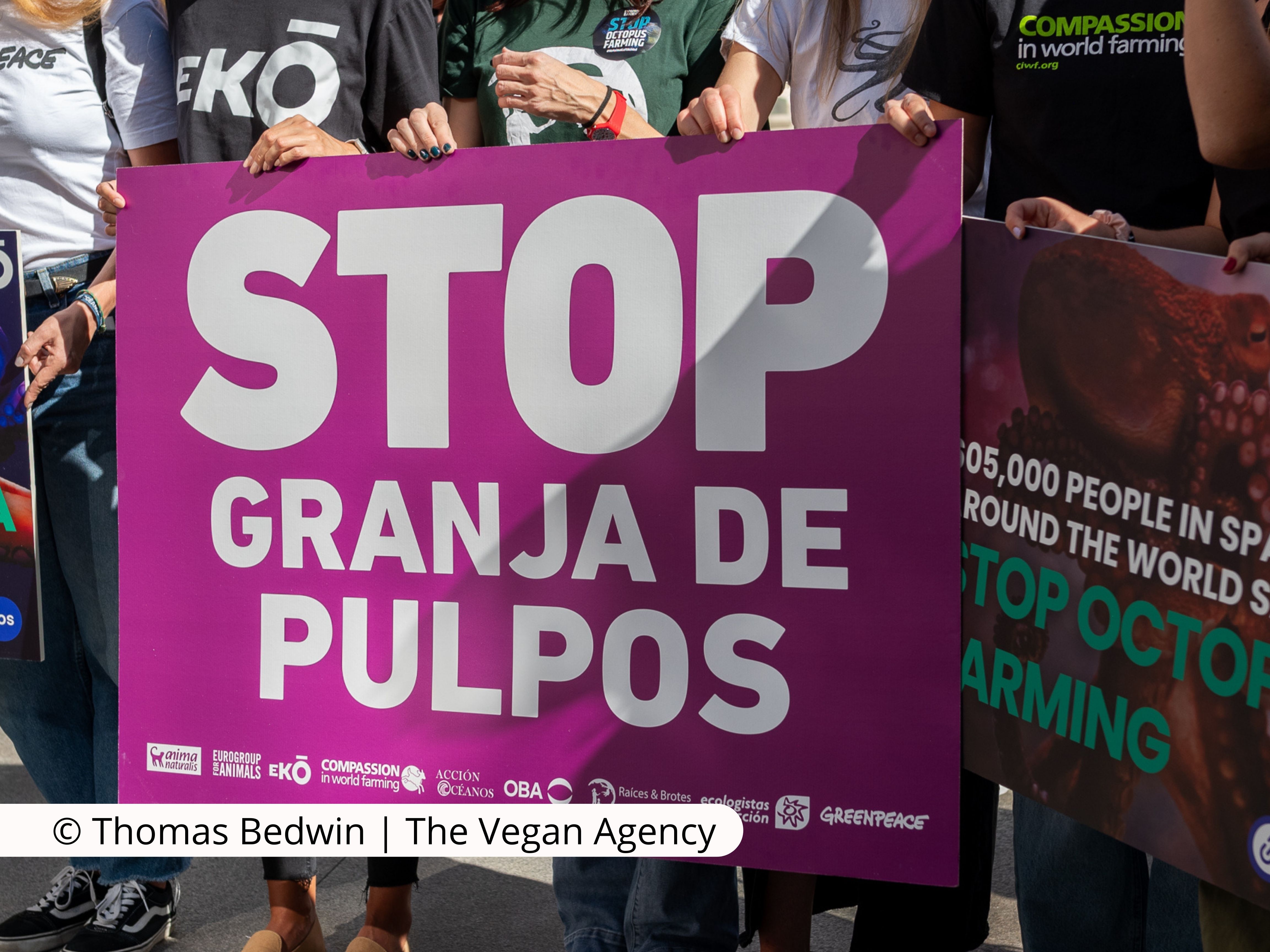 Concentración contra la granja de pulpos