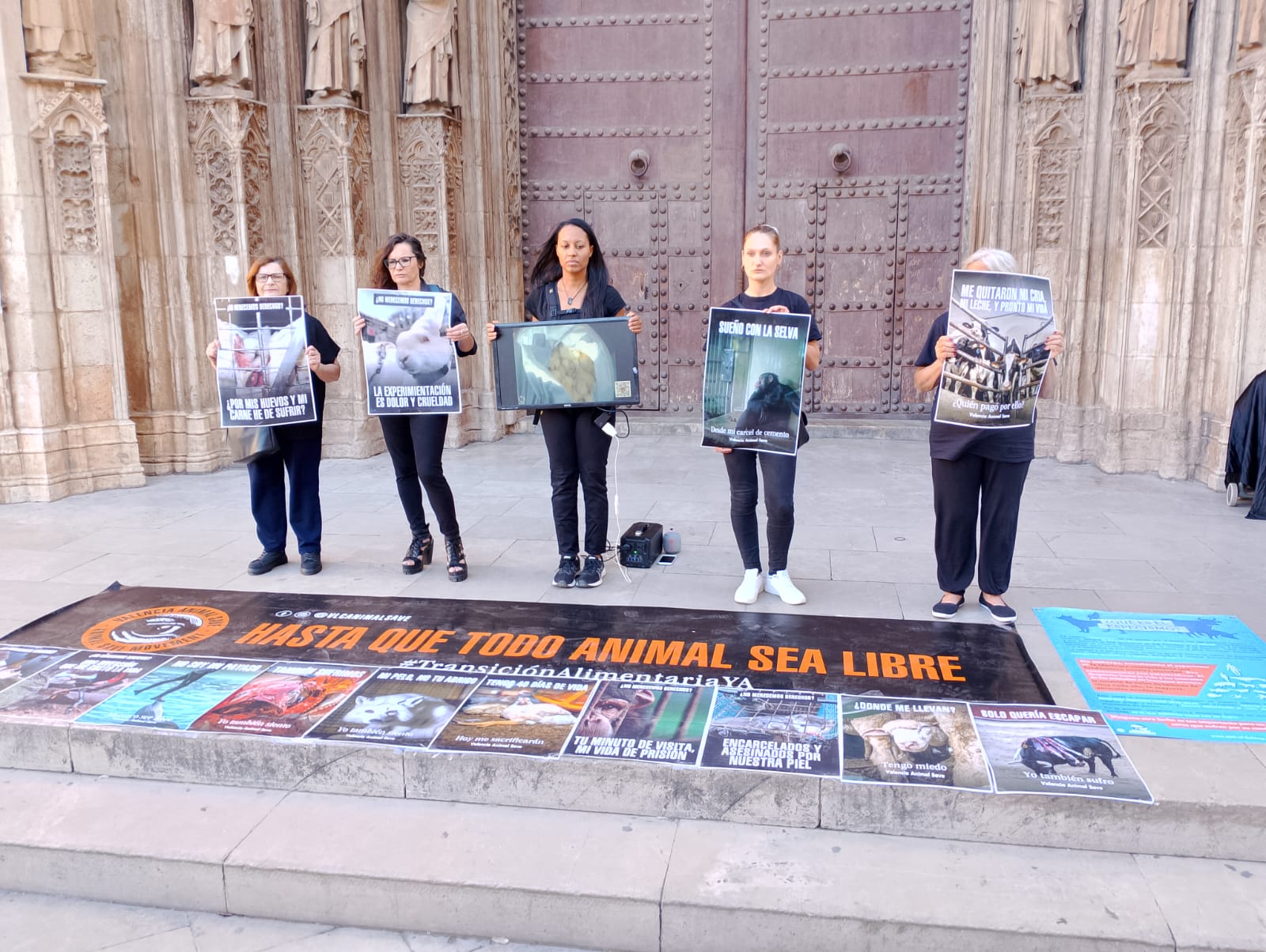 Acción por la liberación animal en el centro de Valencia