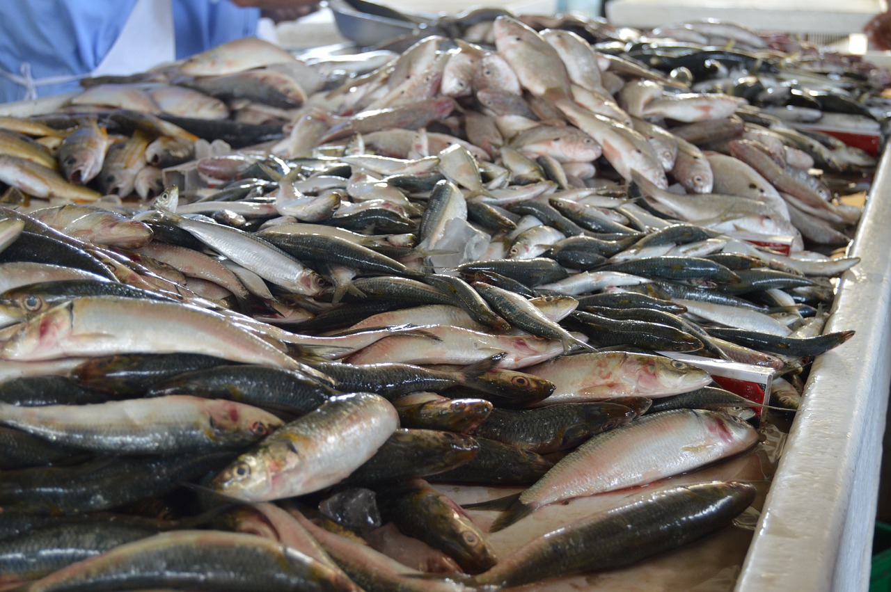 El 90% de los europeos pide más protección para los peces en piscifactorías