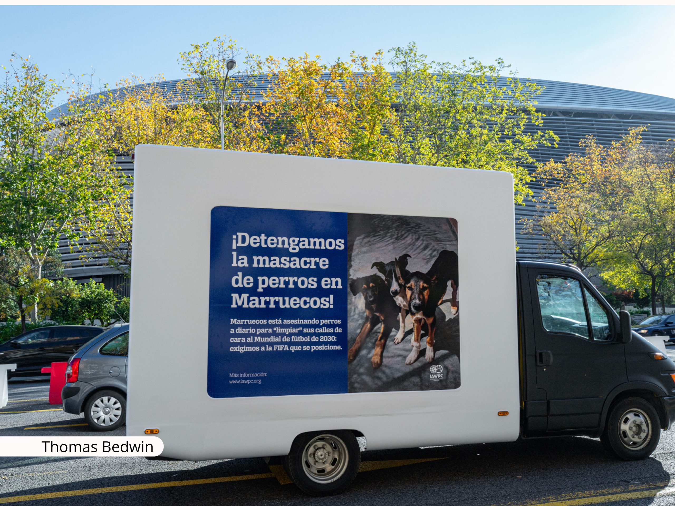 IAWPC campaña perros