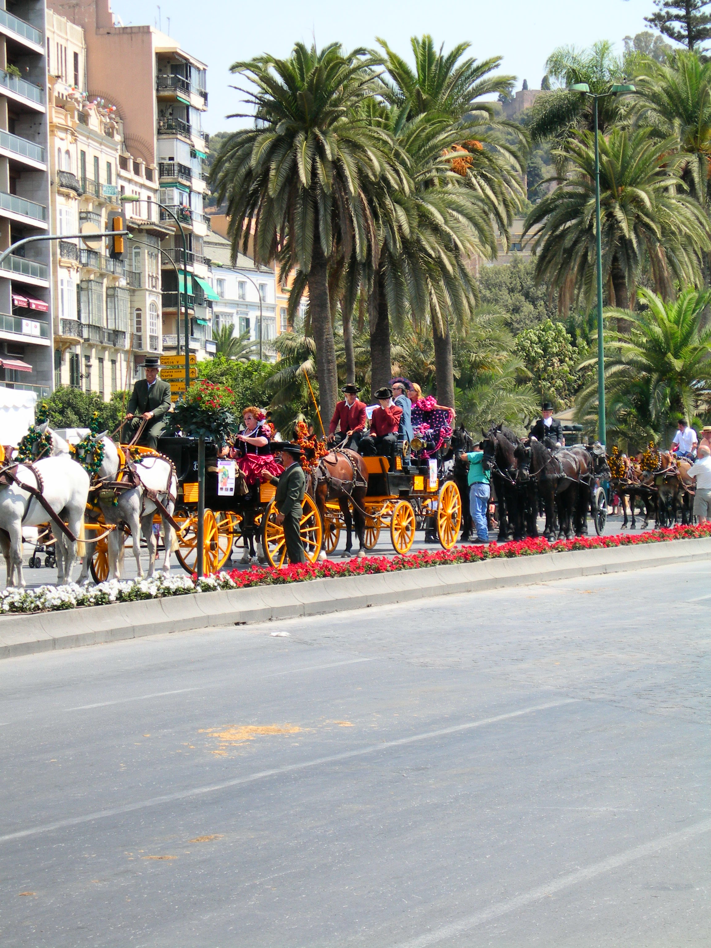 Coches de caballos en Málaga