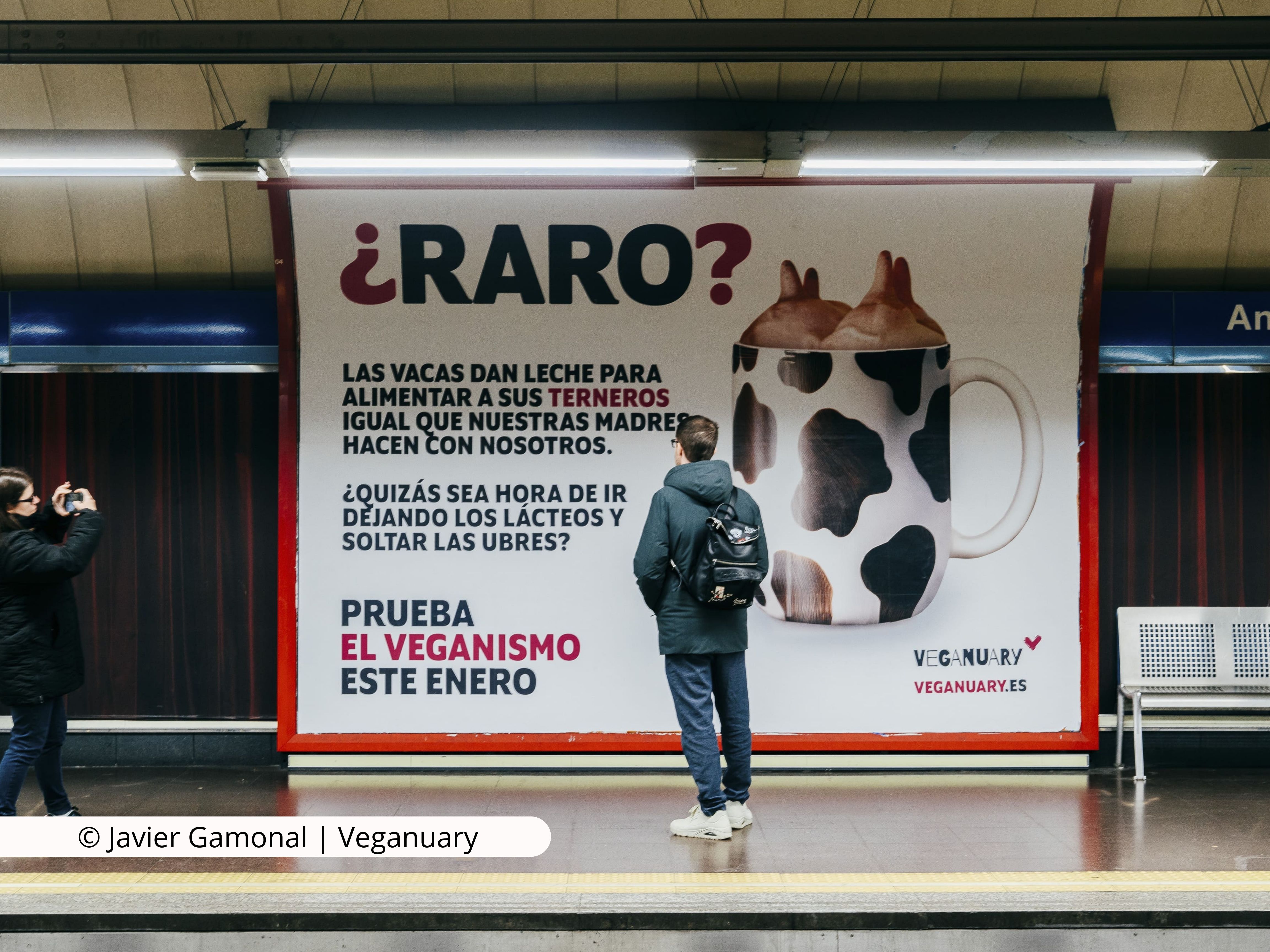 Arranca Veganuary 2025