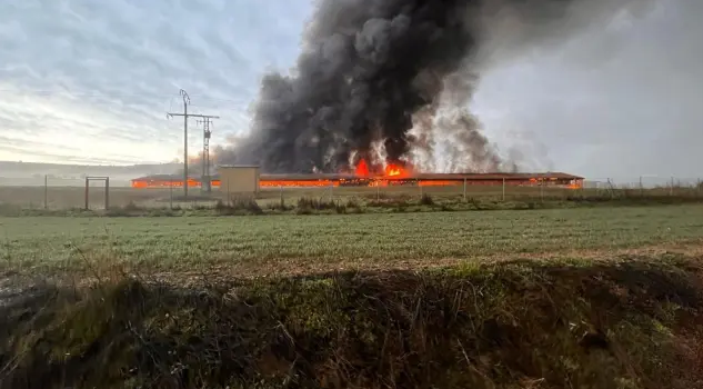 12000 gallinas muertas tras el incendio en una granja de Palencia