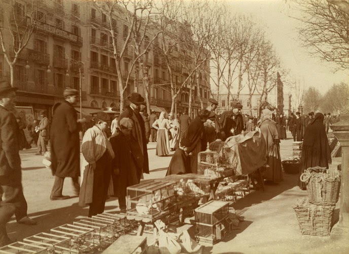 Cuando se vendían animales en las Ramblas