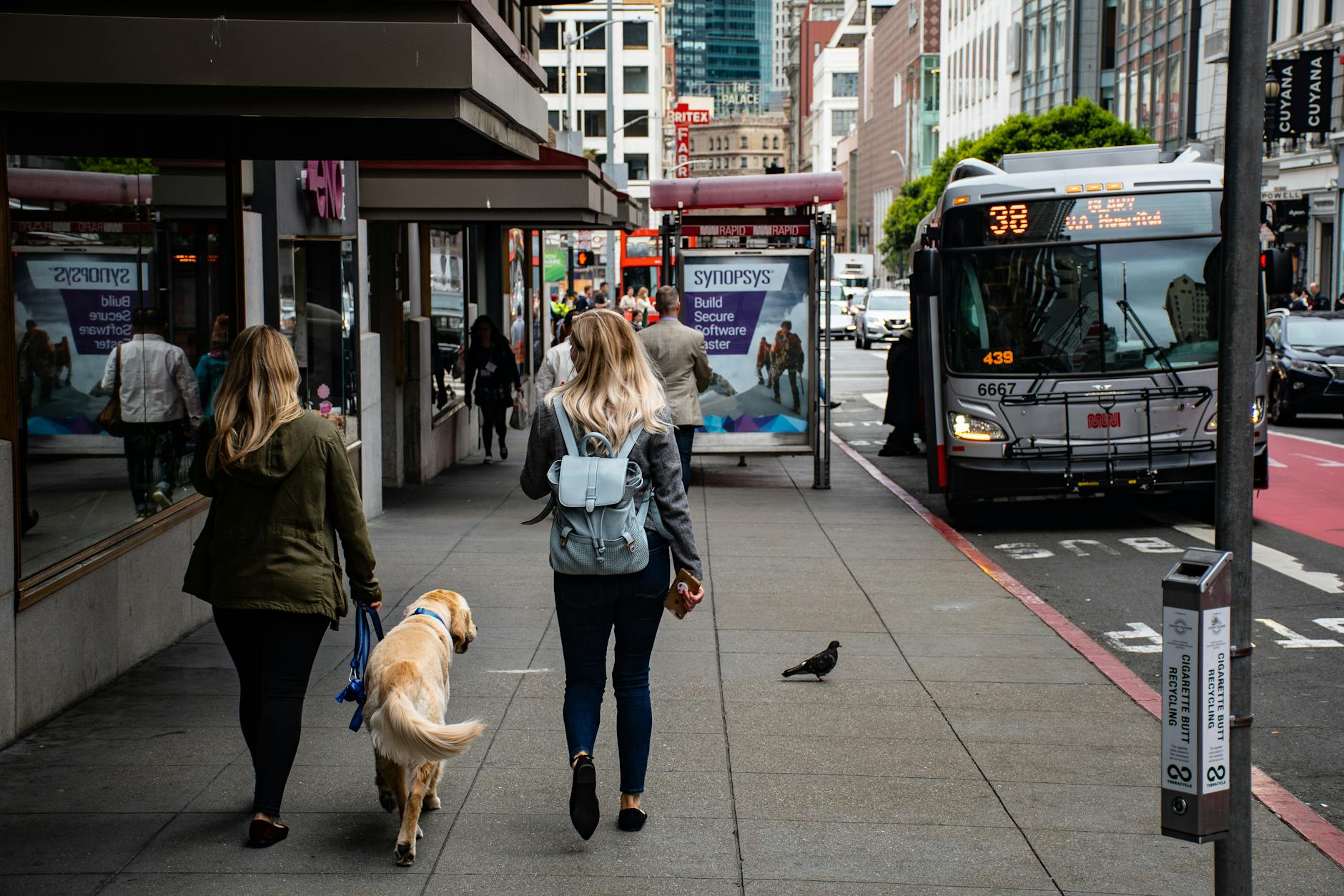 Animales en el transporte público, una asignatura pendiente en muchas ciudades