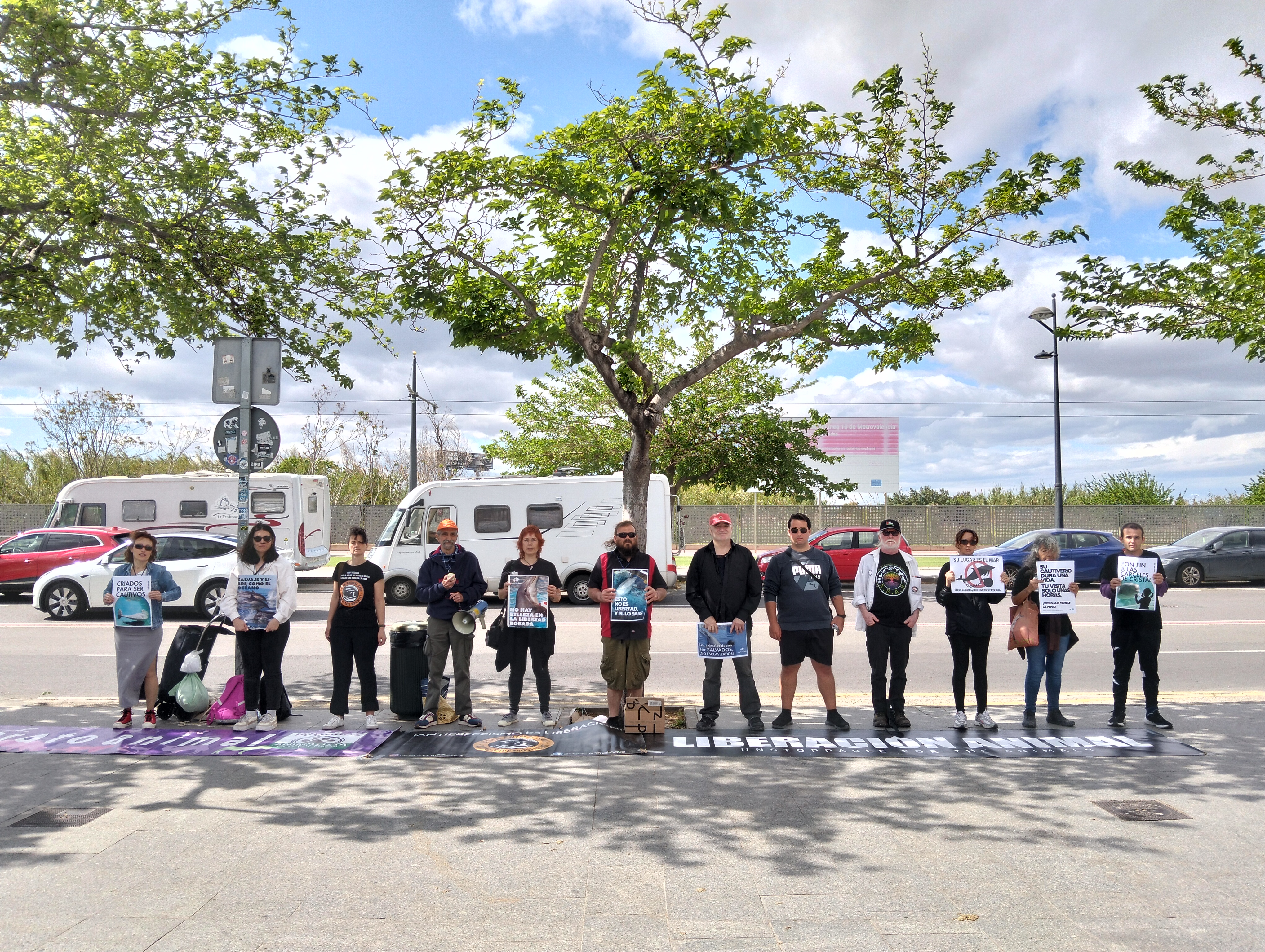 Activistas piden el cierre de los acuarios frente al Oceanográfico