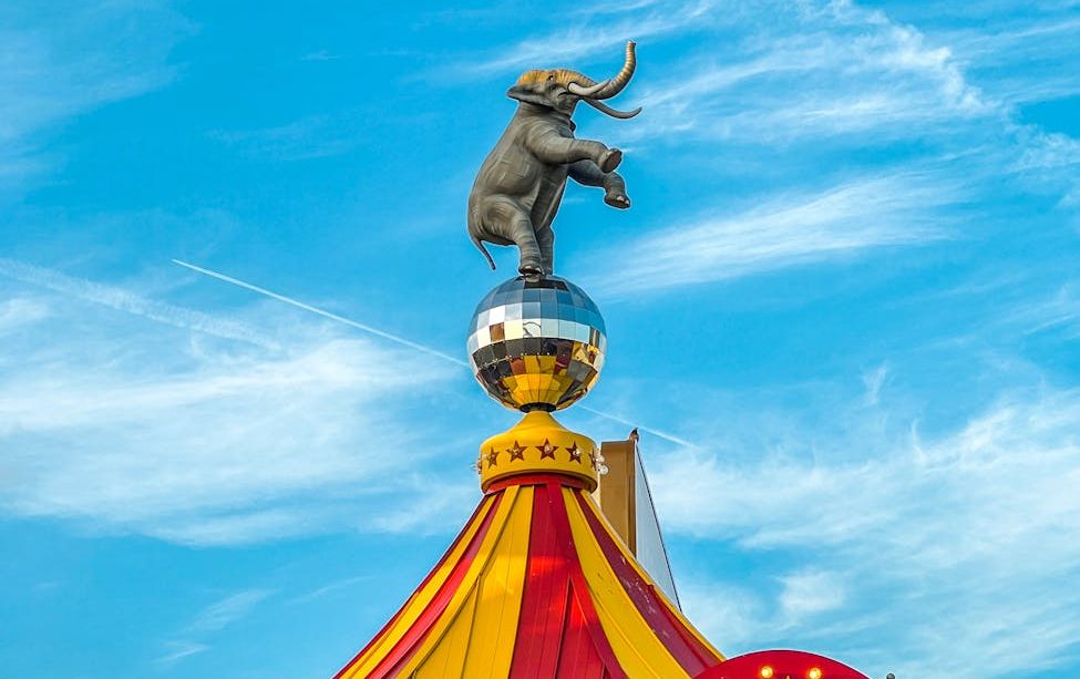 Circo con elefante