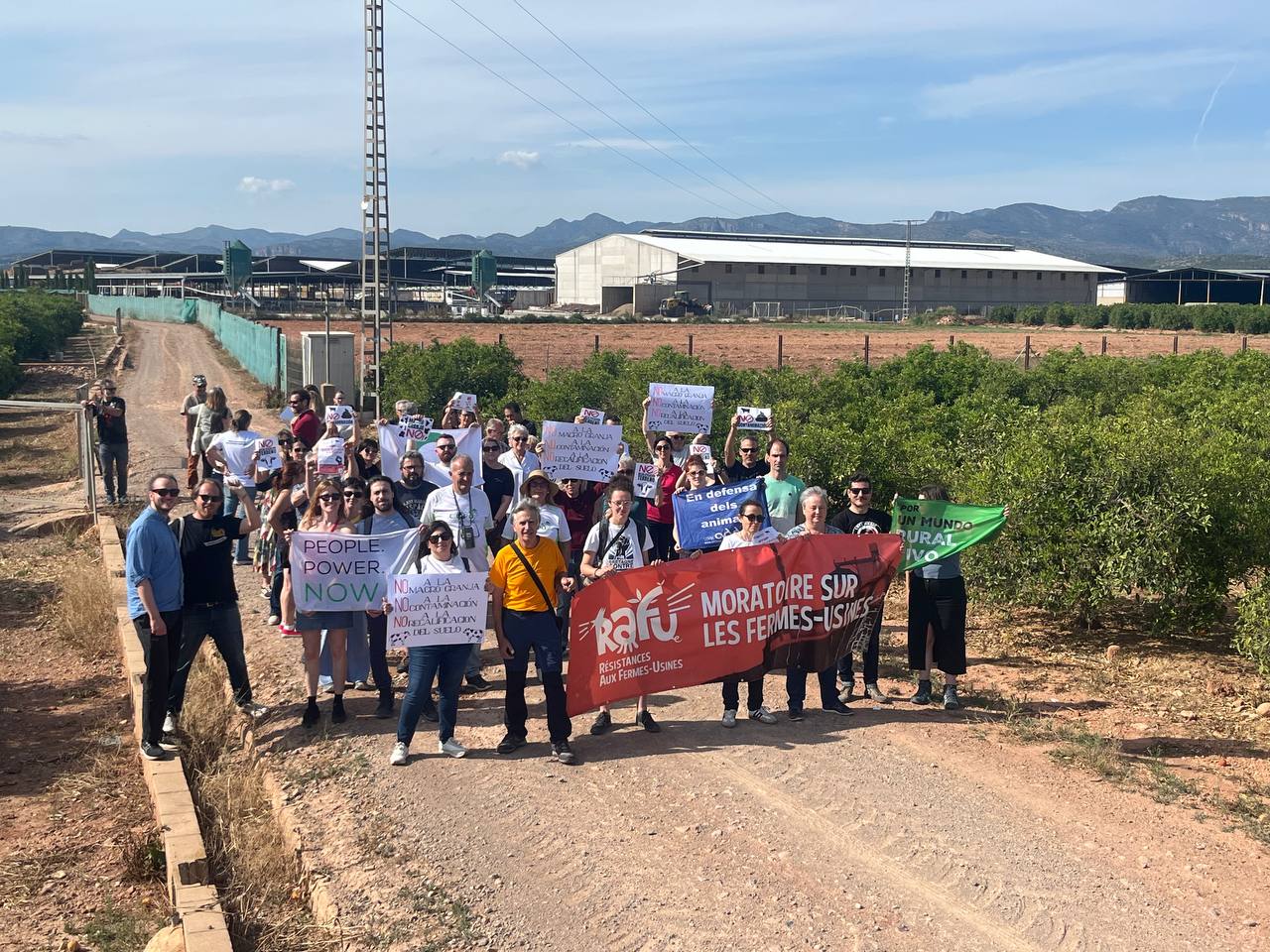 Manifestación contra la ganadería industrial