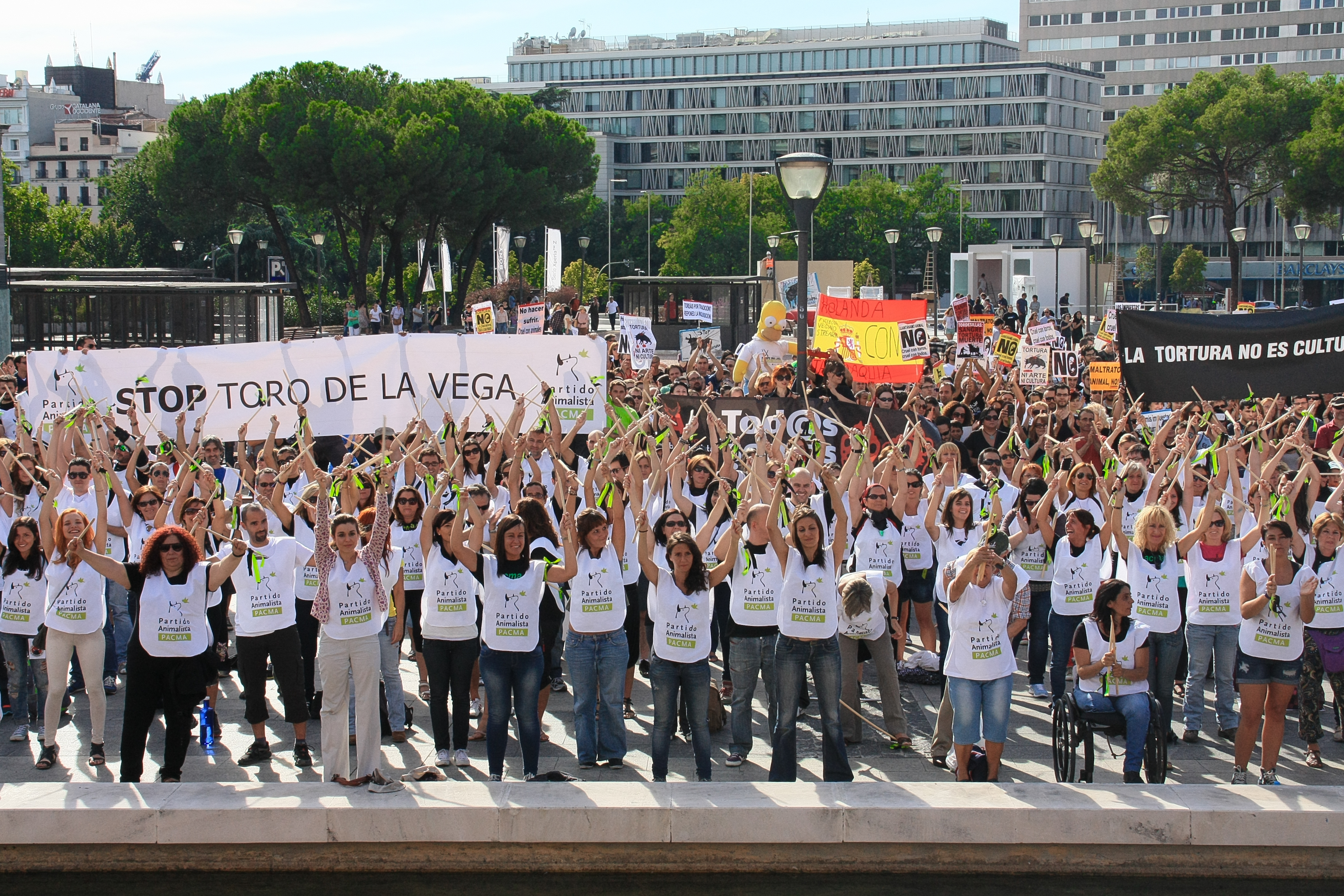 La prohibición definitiva del Toro de la Vega está más cerca