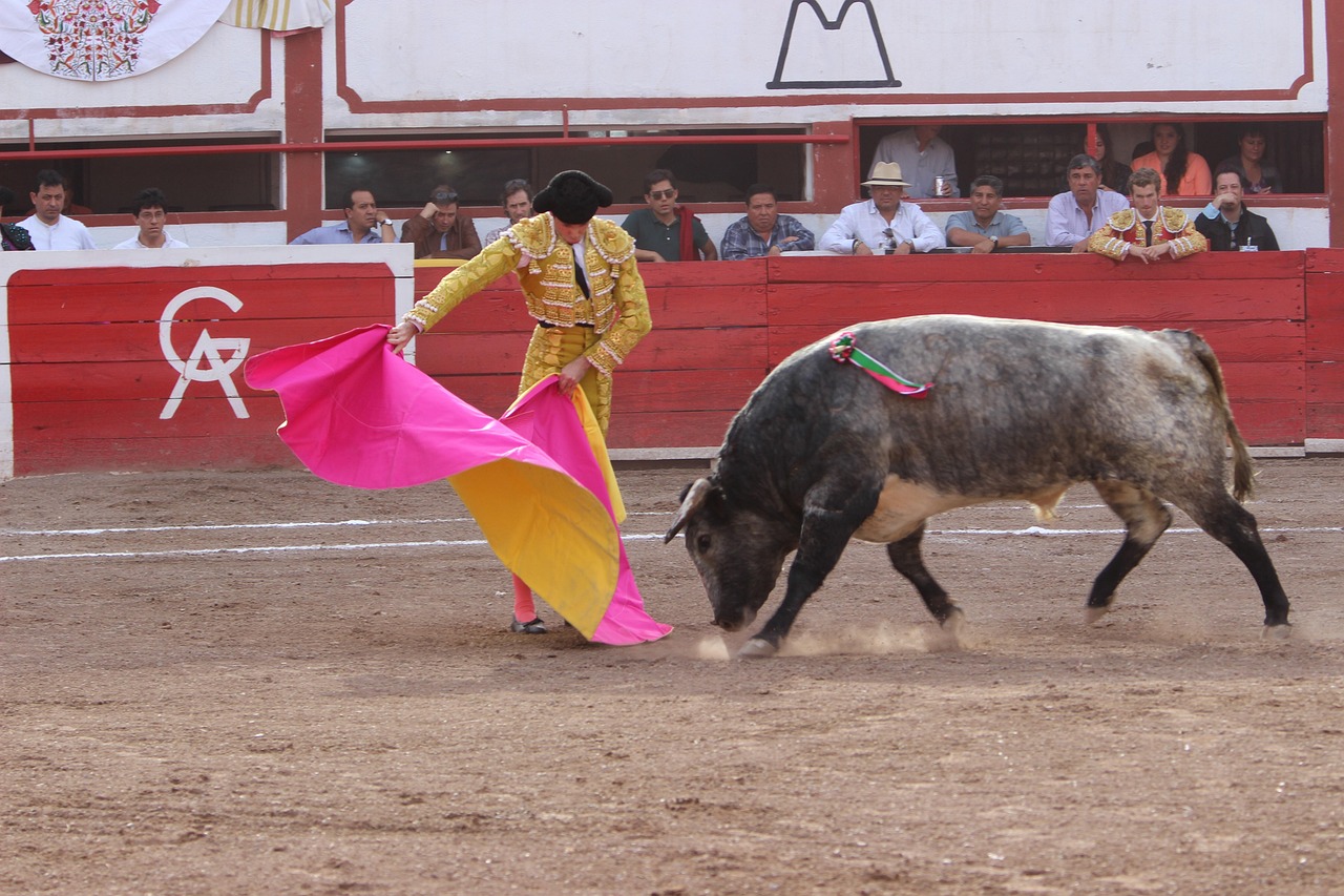 Asturias pide al Gobierno que declare las corridas de toros maltrato animal
