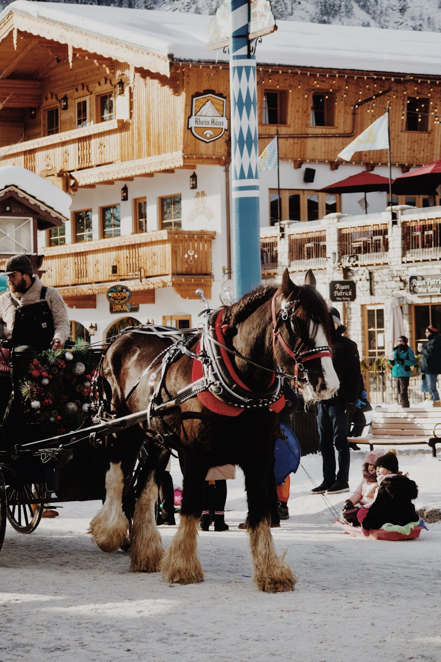 Alcúdia lidera la sustitución de las calesas de caballos por vehículos eléctricos