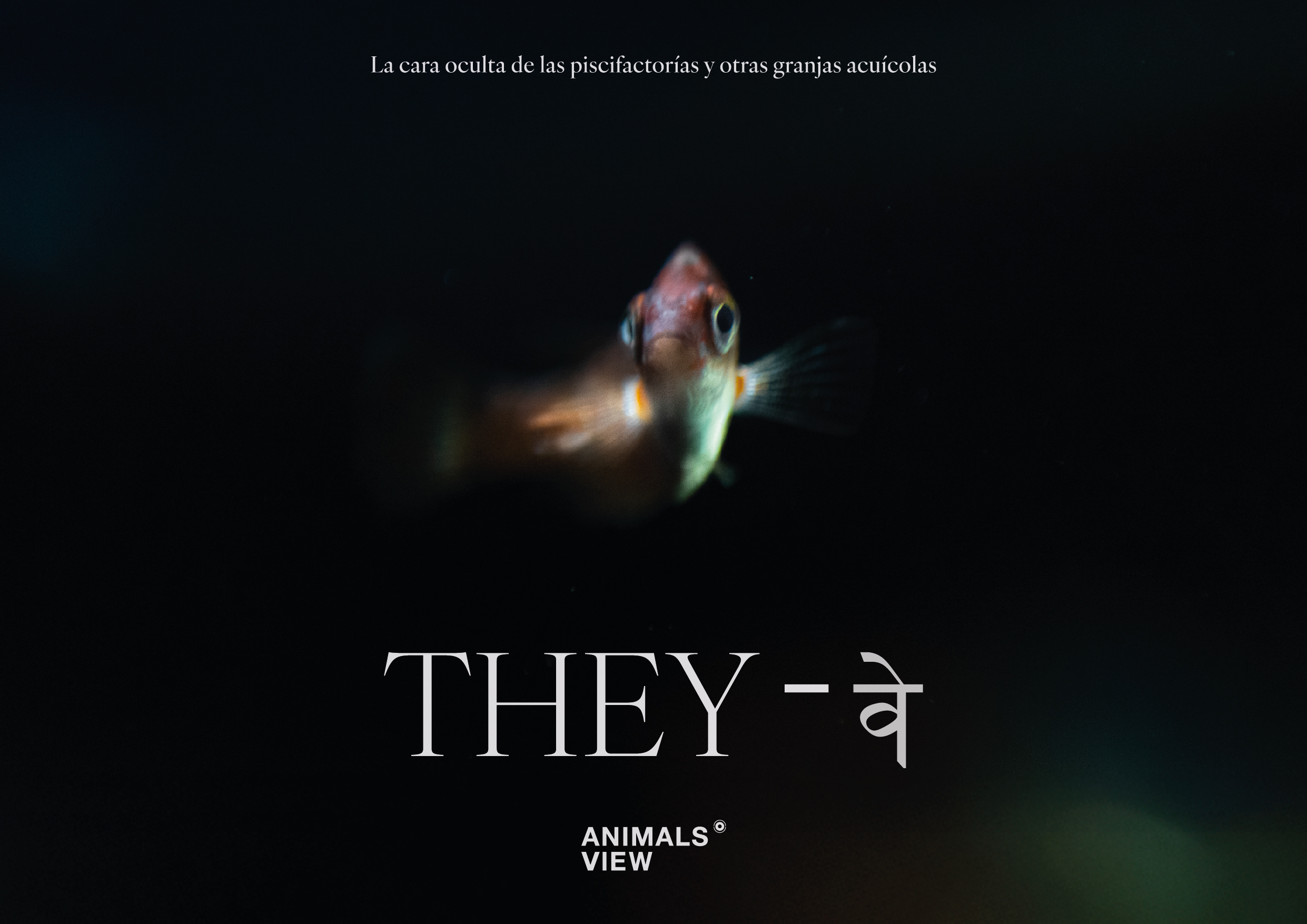 They documental