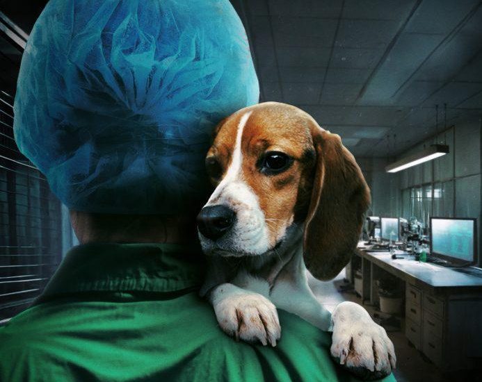 Se estrena ‘Infiltrada en el búnker’: El testimonio de la mujer que destapó el escándalo Vivotecnia