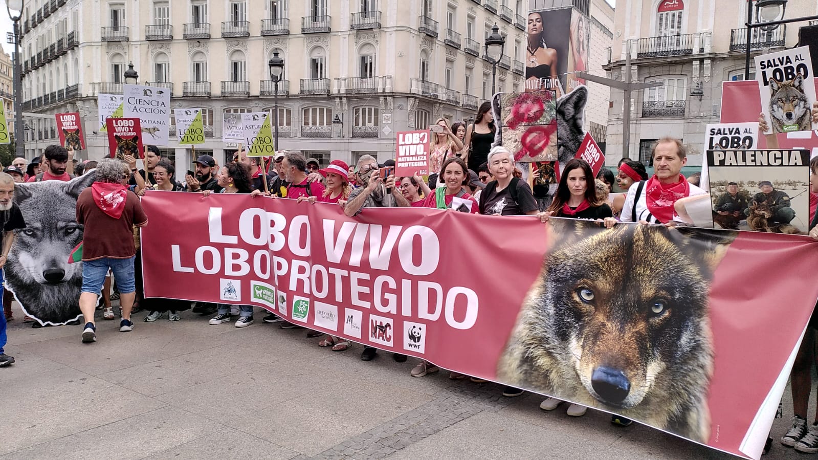 Un movimiento unido por el lobo