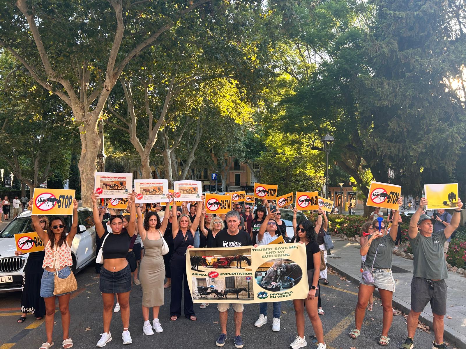 Cerca de 200 personas exigen en Mallorca el fin de las galeras de caballos