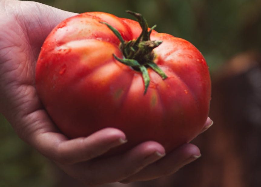 Dos municipios españoles más se suman al Tratado Plant Based